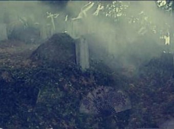 医院对面的旅馆