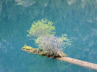 农历七月十五鬼节遇到的灵异事件