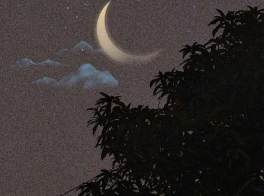 人偶娃娃的袜子