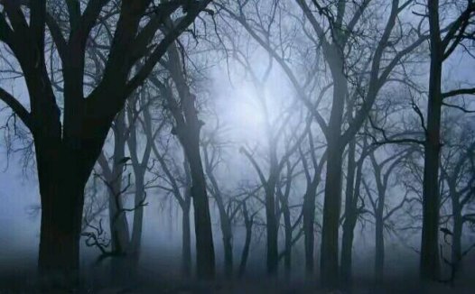 本人的一些经历